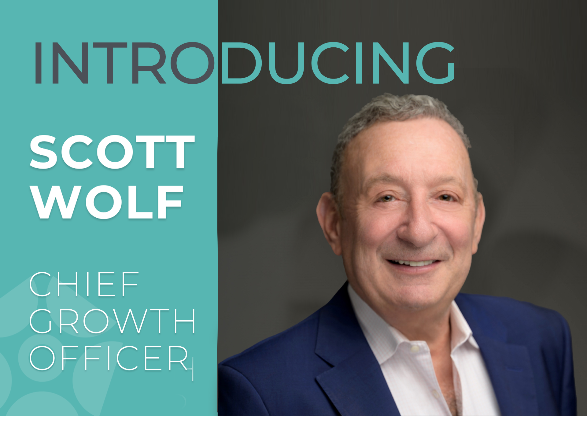 Reverba Announces Appointment of Scott Wolf as Chief Growth Officer